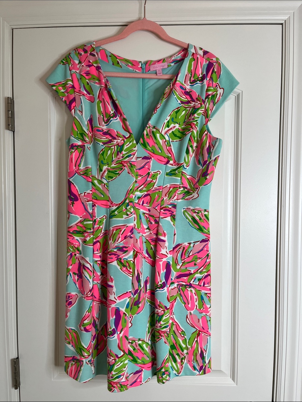 Lily Pulitzer-BriellaCap-Sleeve V-Neck Floral Fit & Flare Dress-Aqua & Pink-XL